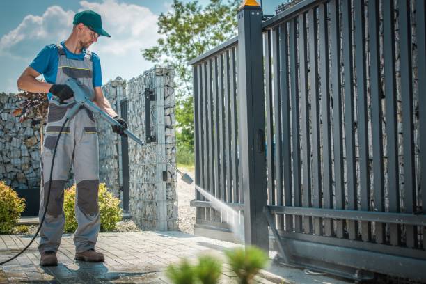 Best Sidewalk and Walkway Cleaning  in Windermere, FL