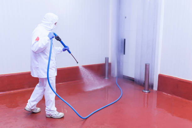 Best Roof Washing  in Windermere, FL